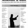 Visitaci nella pace